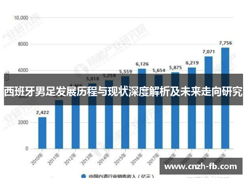 西班牙男足发展历程与现状深度解析及未来走向研究