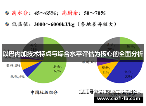 以巴内加技术特点与综合水平评估为核心的全面分析