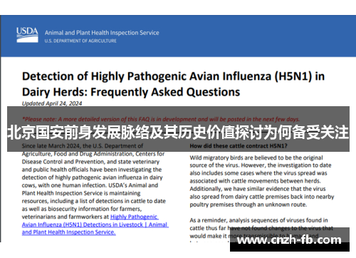 北京国安前身发展脉络及其历史价值探讨为何备受关注