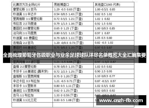 全面梳理葡萄牙各级职业与业余足球球队详尽名录概览大全汇编集要 全面梳理葡萄牙各级职业与业余足球球队详尽名录概览大全汇编集要
